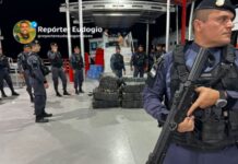 Força Tática apreende 700 quilos de drogas durante operação no interior do Amazonas