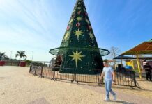 Prefeito David Almeida antecipa Natal na Ponta Negra com árvore digital e programação inédita