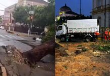 VÍDEO: Temporal derruba árvore e destrói carro no Centro de Manaus; motorista não estava no veículo