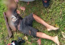 Homem é morto a pauladas e pedradas em área de mata em Tabatinga, no Amazonas