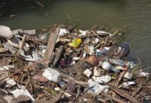 Corpo é encontrado no Igarapé do Mindu durante limpeza de ecobarreira em Manaus