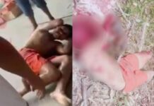 IMAGENS FORTES: Filho mata a mãe e é levado pela população para a mata, onde é executado a tiros.