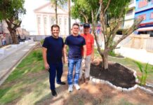 Prefeito David Almeida planta oliveiras na praça dos Remédios e reforça compromisso com o resgate histórico e social do Centro de Manaus