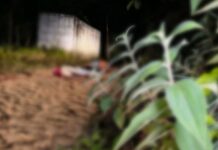 Dois homens são executados em ramal na Zona Leste de Manaus