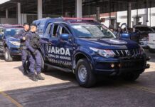 Guarda Municipal e Polícia Federal prendem dois foragidos em ação conjunta no Centro de Manaus