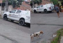 Homem é encontrado morto no bairro Gilberto Mestrinho, em Manaus