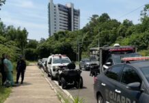 Mulher é encontrada morta em área de mata na Ponta Negra, em Manaus