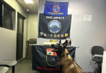 Polícia prende mulher com quase 5 kg de cocaína em embarcação no Amazonas