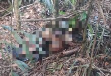 Corpo em decomposição é encontrado em área de mata no bairro Tarumã, em Manaus