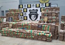 Ação da Polícia Civil no AM apreende tonelada de skunk avaliada em R$ 24 milhões