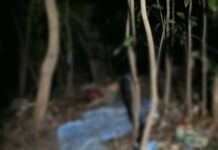 Homem de 37 anos é encontrado morto após ataque a facadas em Manaus