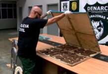 Entenda por que a cocaína negra encontrada em mansão de Manaus engana cães farejadores e reagentes