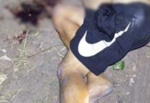 Homem é encontrado morto com marcas de tiros na zona norte de Manaus
