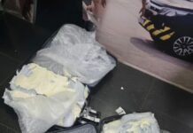 Homem é preso no Aeroporto de Manaus ao tentar embarcar com mais de 36 kg de maconha para Santarém