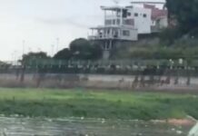 Moradores encontram tronco humano em igarapé na Zona Oeste de Manaus; Veja Vídeo
