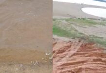 Moradores encontram corpo boiando em praia de Maués no Amazonas