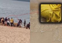 Vídeo mostra briga violenta na Festa do Guaraná antes de jovem ser encontrado morto em Maués