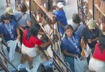 Gangue da bolsa: Grupo especializado em furtos age no Centro de Manaus e é flagrado por câmeras