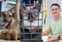 Prefeito David Almeida abre inscrições para o programa ‘Ração do Meu Pet’ em Manaus