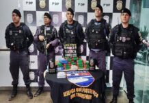Polícia encontra tonel enterrado com 24 tabletes de skunk na zona sul de Manaus