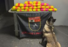 Polícia apreende R$ 1 milhão em cocaína escondida em bote no interior do AM