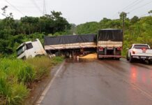 Caminhão carregado de milho fica atravessado e interdita BR-174 no AM