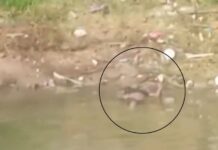Corpo é encontrado em igarapé na avenida Itaúba, na Zona Leste de Manaus