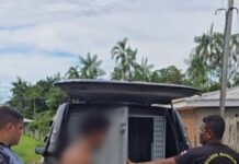 Filho é preso após invadir casa da mãe com facão e ameaçá-la no interior do AM