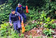 Detentos serram grade e promovem fuga em massa de presídio em Maués, no AM