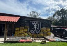 Polícia Federal devolve fuzis ao Peru após apreensão recorde de 6,5 toneladas de drogas no Amazonas