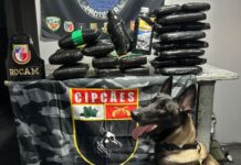 Base Arpão II apreende óleo de maconha e mais de 35 kg de drogas em embarcação no Amazonas