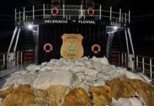 Polícia Civil-AM apreende 12 toneladas de pirarucu seco em embarcação no rio Amazonas