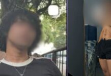 Suspeito de abusar de cadela em Manaus confessa crime, é liberado após depoimento e tem prisão preventiva solicitada
