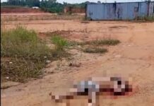 Corpo de homem com marcas de tiros na cabeça é encontrado em ramal da BR-174, em Manaus