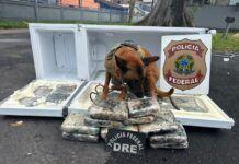 PF apreende 30 kg de maconha escondidos em geladeira durante fiscalização em Manaus