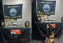 PM prende homem com oito quilos de maconha em base fluvial no interior do AM