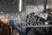 Ipaam multa empresa em R$ 122 mil e embarga comércio irregular de carvão em Manaus