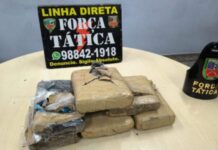 Força Tática apreende cerca de seis quilos de drogas e resgata animais vítimas de maus-tratos na Compensa, em Manaus