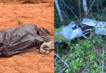 Corpo de piloto é encontrado em mata no AM, e polícia investiga possível queda de avião ligado ao tráfico