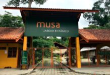 Musa oferece ingresso a R$ 10 aos fins de semana para moradores de Manaus em 2026