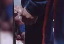 VÍDEO: Homem é morto a tiros em Coari; cinco suspeitos são presos
