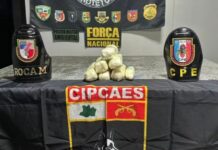 Cão farejador encontra 2,5 quilos de cocaína em embarcação no interior do Amazonas