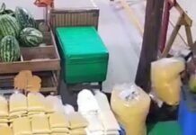 VÍDEO: câmeras de segurança registram furto de saca de farinha em comércio de Itacoatiara