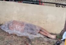 Homem é encontrado morto em via pública ao lado de SPA na zona norte de Manaus