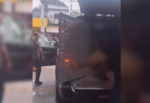 VÍDEO: homem é preso em Manaus por divulgar nudes da ex após não aceitar fim do relacionamento