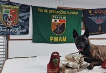 Cão farejador Xerife ajuda PM a interceptar 6 kg de skunk avaliados em R$ 120 mil em operação fluvial em Coari no Am