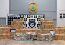 PC-AM desarticula organização criminosa e apreende 1 tonelada de skunk avaliada em mais de R$ 19 milhões em Manaus