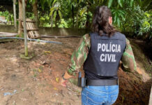 Homem é preso por maus-tratos após cachorro ter pernas fraturadas na zona Leste de Manaus