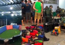Polícia Ambiental desarticula rinha de galos e apreende mais de 40 aves na zona Leste de Manaus