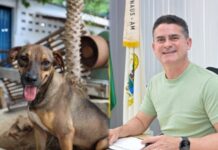 Prefeitura de Manaus divulga lista de beneficiários do programa “Ração do Meu Pet”